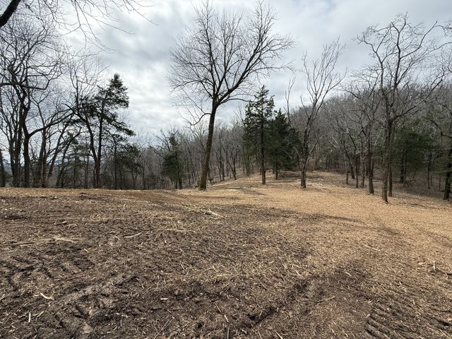 6448 Nathan Smith Rd, College Grove, TN 37046