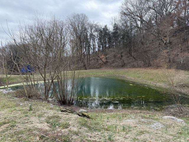 6448 Nathan Smith Rd, College Grove, TN 37046