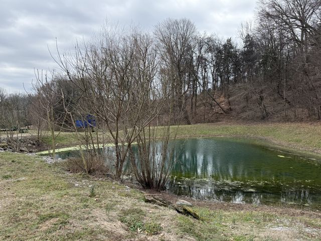 6448 Nathan Smith Rd, College Grove, TN 37046