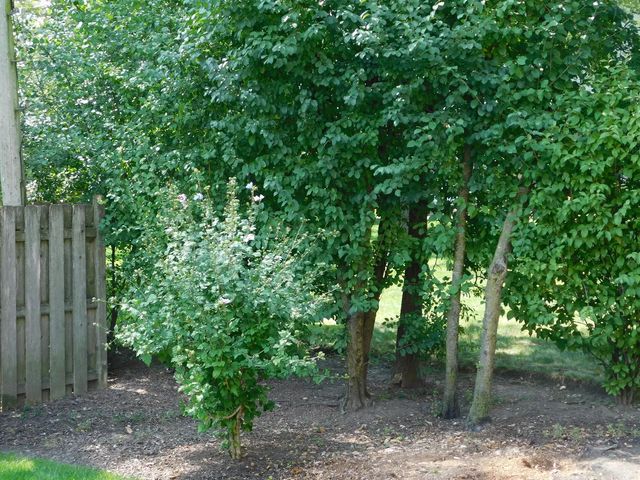 1911 Dewes Street 1911, Glenview, IL 60025