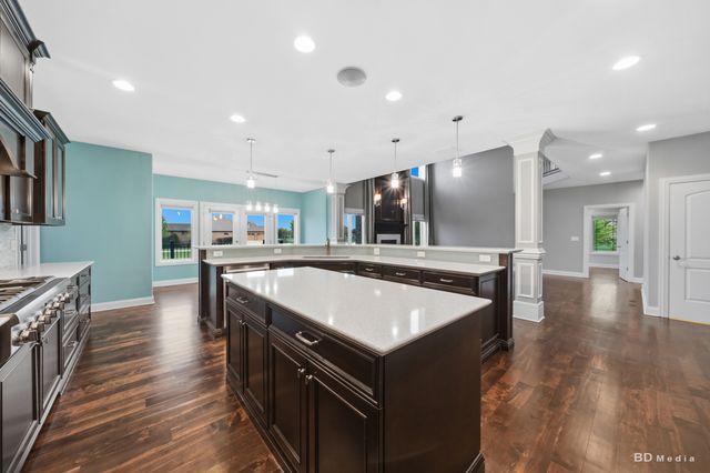 23296 Sunburst Point, Frankfort, IL 60423