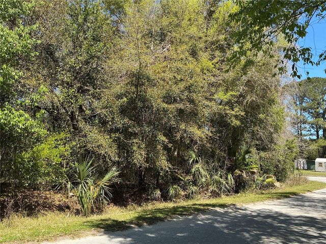 00 SE 139TH LANE, Summerfield, FL 34491