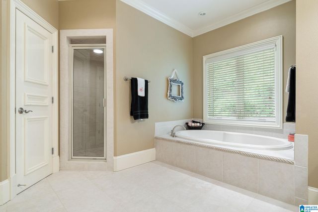 487 SPRING VALLEY DRIVE, Chelsea, AL 35043