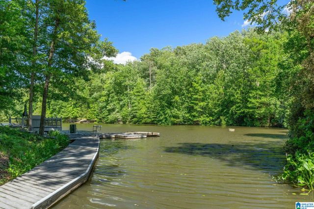 487 SPRING VALLEY DRIVE, Chelsea, AL 35043