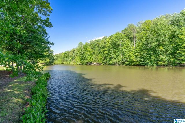 487 SPRING VALLEY DRIVE, Chelsea, AL 35043