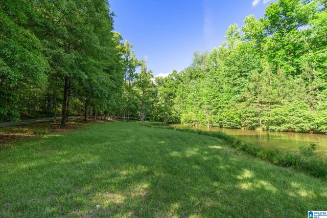 487 SPRING VALLEY DRIVE, Chelsea, AL 35043