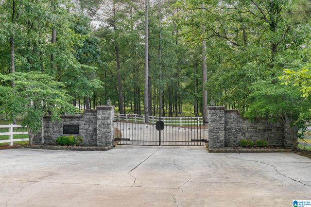 487 SPRING VALLEY DRIVE, Chelsea, AL 35043