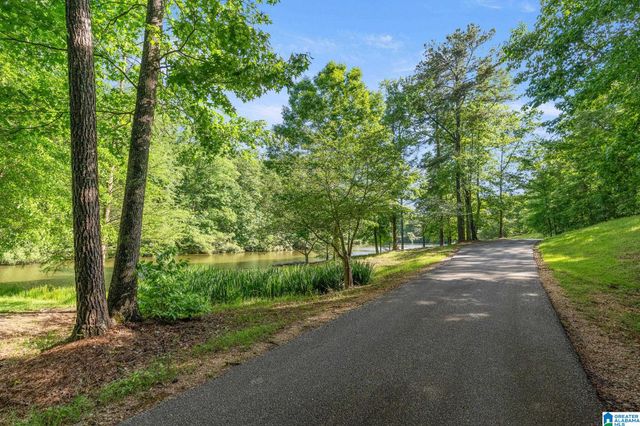 487 SPRING VALLEY DRIVE, Chelsea, AL 35043