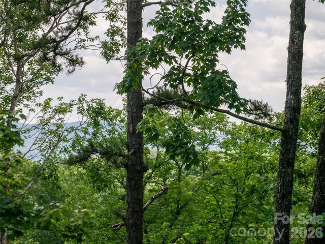 78 Boyd View Lane, Mills River, NC 28759