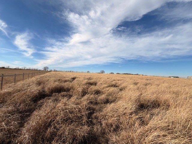 26 Old Sandborn Ranch Road, Whitesboro, TX 76268