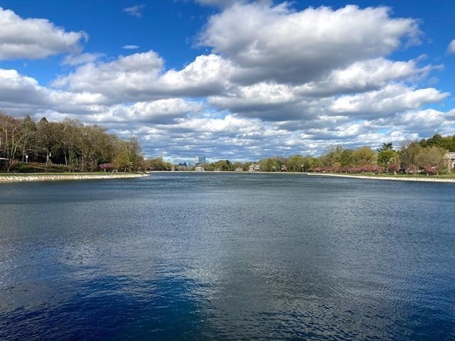 105 Beaconsfield 1, Brookline, MA 02445