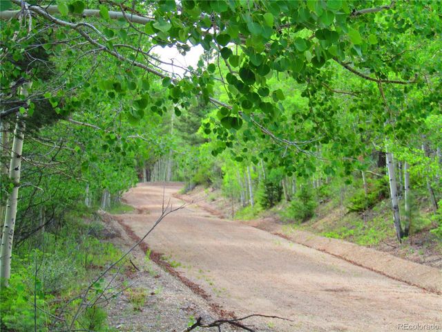 LOT 6093 Forbes Road, San Luis, CO 81152