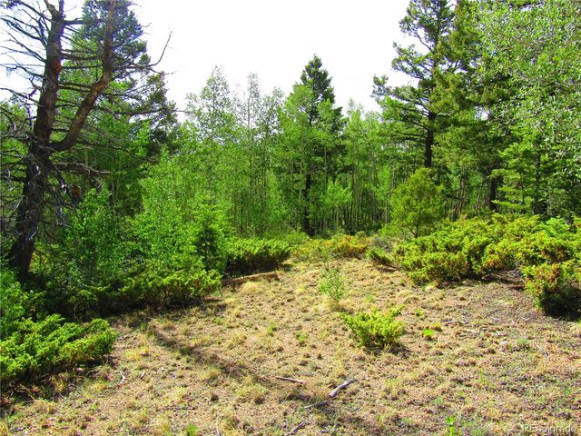 LOT 6093 Forbes Road, San Luis, CO 81152