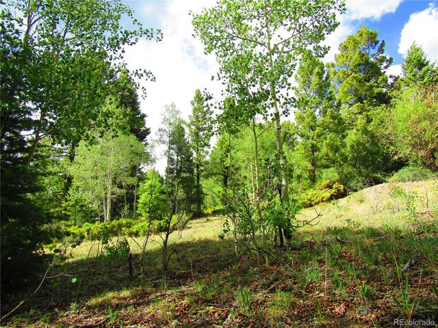 LOT 6093 Forbes Road, San Luis, CO 81152