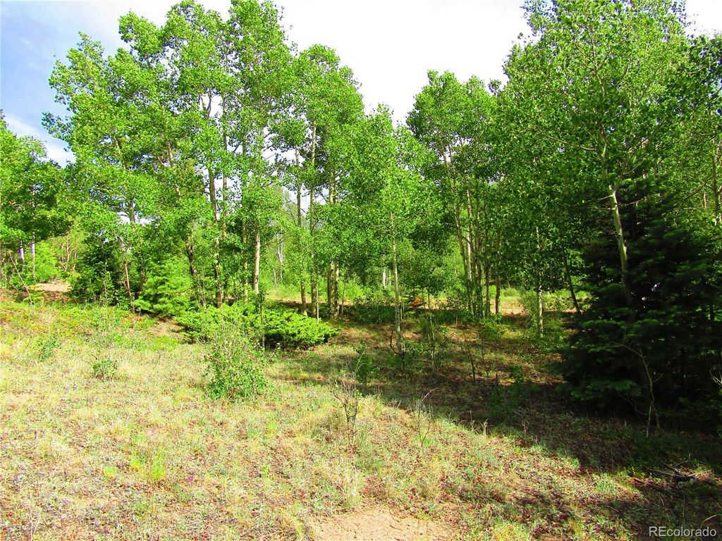 LOT 6093 Forbes Road, San Luis, CO 81152