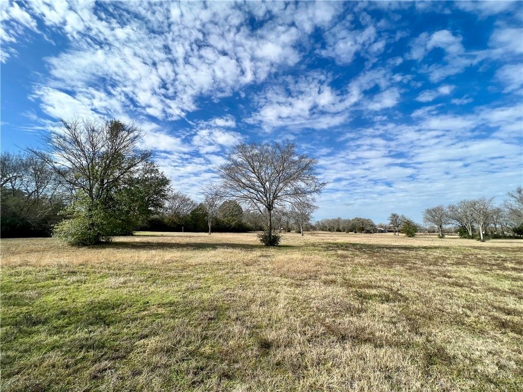 6.675 acres SH 6 S, Navasota, TX 77868 — photo 3