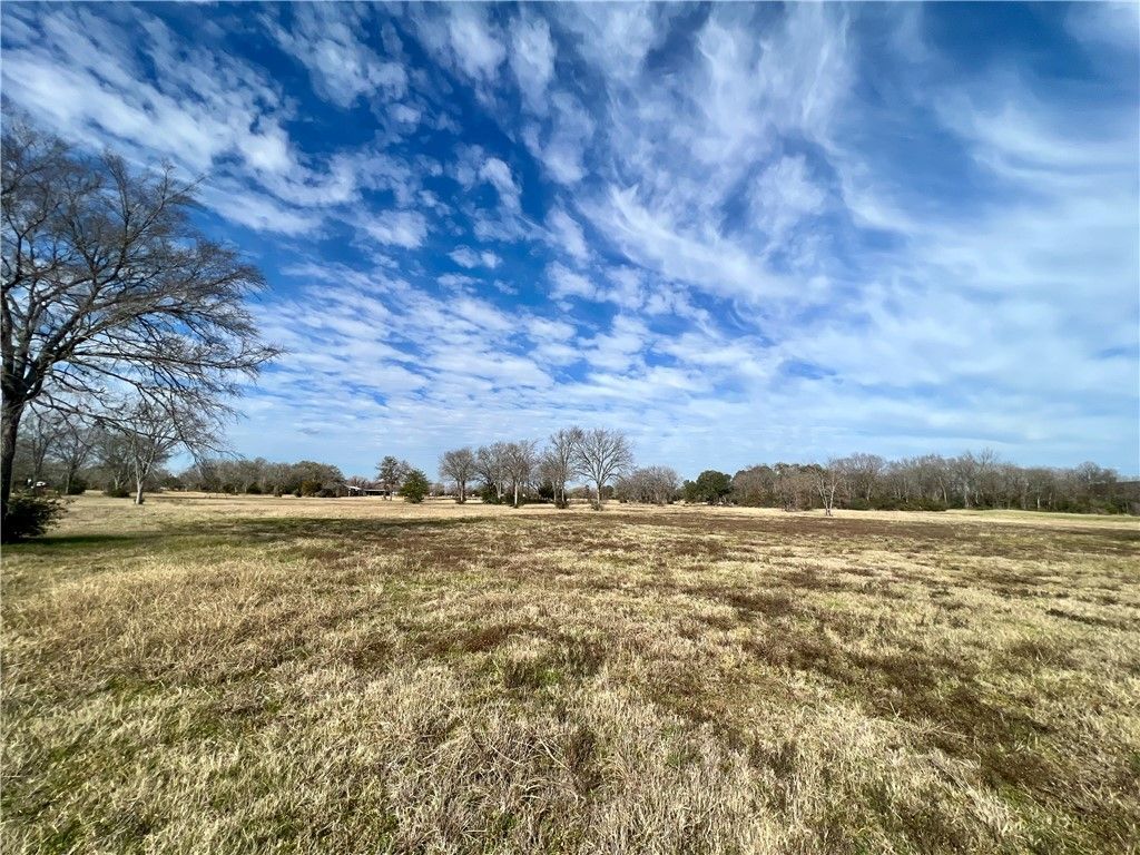 6.675 acres SH 6 S, Navasota, TX 77868 — photo 4
