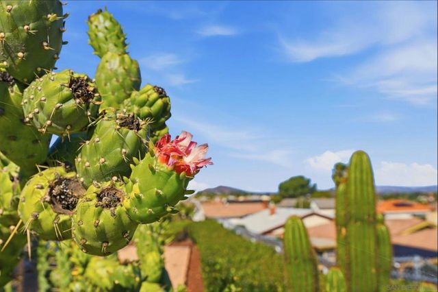 16625 SAN TOMAS DR, San Diego, CA 92128