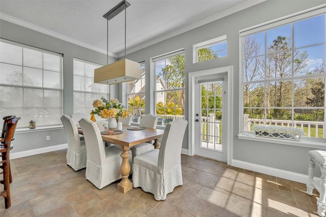 807 OAK SHADOWS ROAD, Celebration, FL 34747