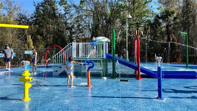 807 OAK SHADOWS ROAD, Celebration, FL 34747