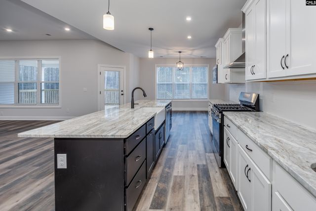 517 Watts Hill Drive, Elgin, SC 29045