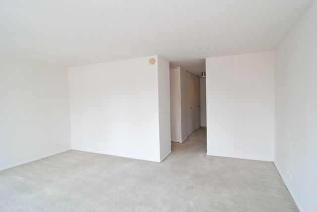 1 E Scott Street 1906, Chicago, IL 60610