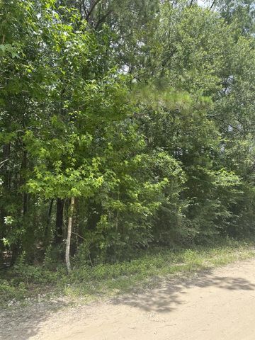 19164 Suffolk, New Caney, TX 77357