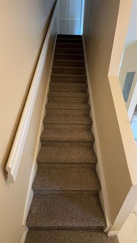 8533 TRAIL WIND DRIVE, Tampa, FL 33647