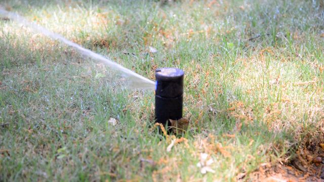 165 Windjammer Way, Sumter, SC 29150