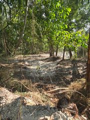 17534 42nd Road N, The Acreage, FL 33470