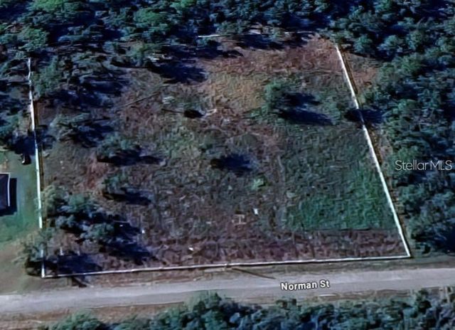 7285 NORMAN STREET, Webster, FL 33597