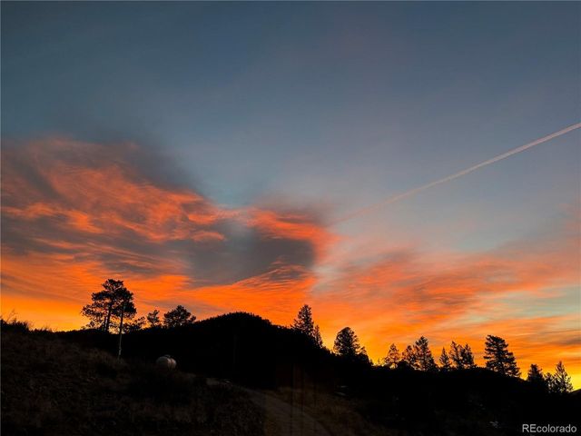 381 Saddle Ln, Bailey, CO 80421