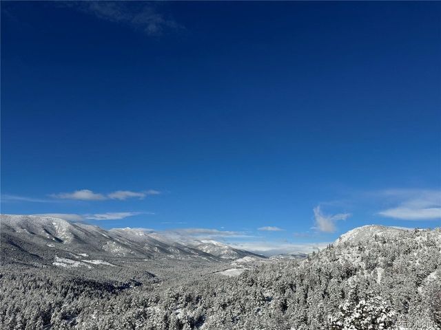 381 Saddle Ln, Bailey, CO 80421