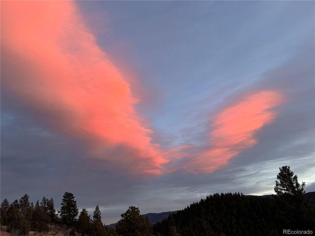 381 Saddle Ln, Bailey, CO 80421