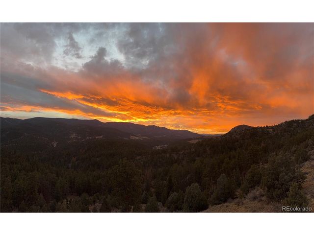 381 Saddle Ln, Bailey, CO 80421
