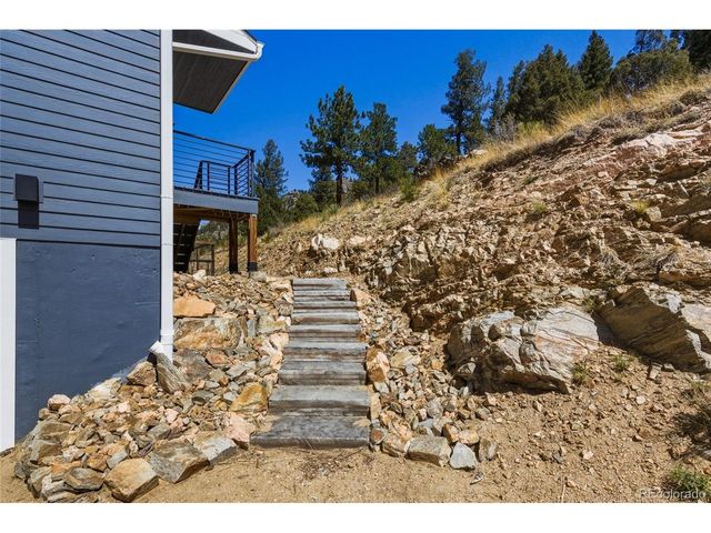 381 Saddle Ln, Bailey, CO 80421