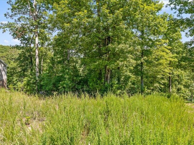 15887 Channel Pointe Drive Lot 58, Sale Creek, TN 37373