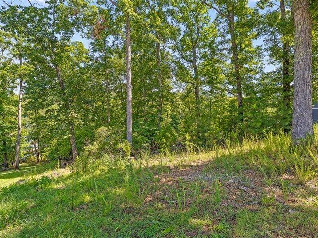 15887 Channel Pointe Drive Lot 58, Sale Creek, TN 37373
