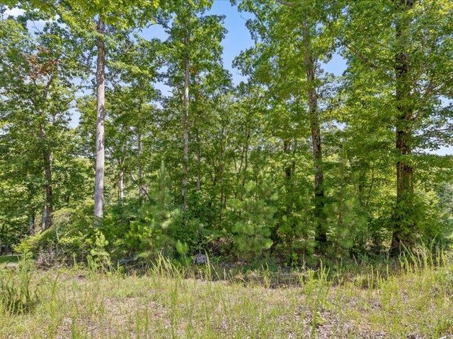 15887 Channel Pointe Drive Lot 58, Sale Creek, TN 37373