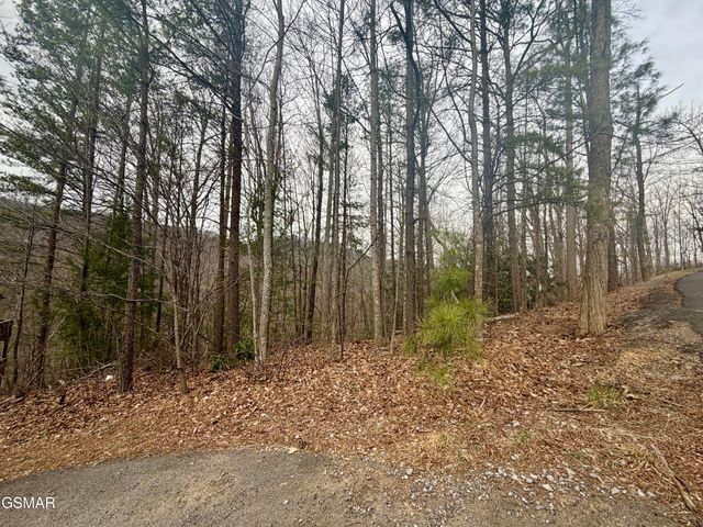 Lot 6 Thissa Way, Gatlinburg, TN 37738