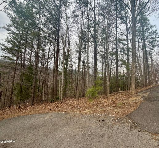 Lot 6 Thissa Way, Gatlinburg, TN 37738