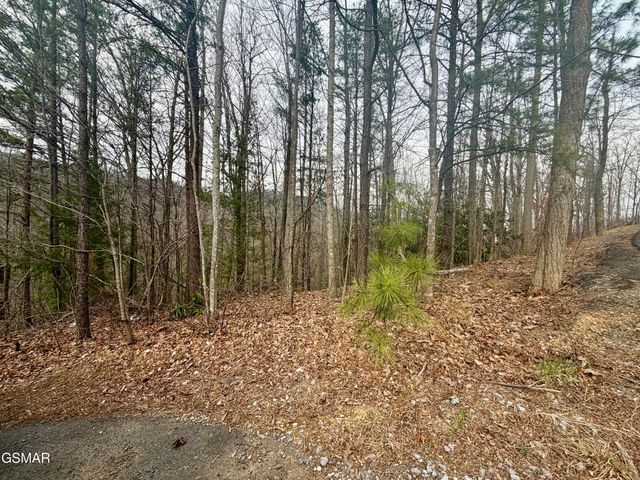Lot 6 Thissa Way, Gatlinburg, TN 37738