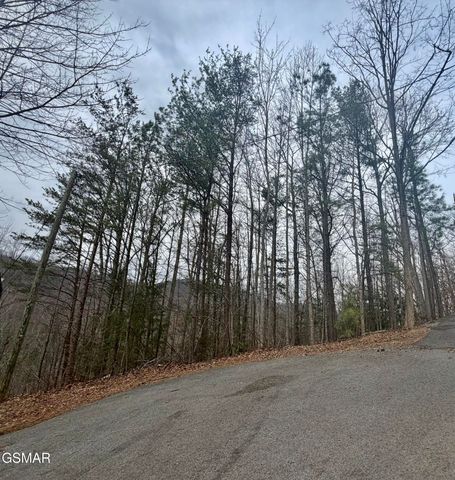 Lot 6 Thissa Way, Gatlinburg, TN 37738