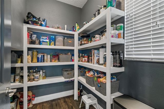 4051 MELLON DRIVE, Odessa, FL 33556