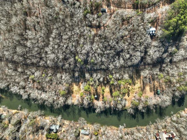 100 Toccoa Hills, Blue Ridge, GA 30513