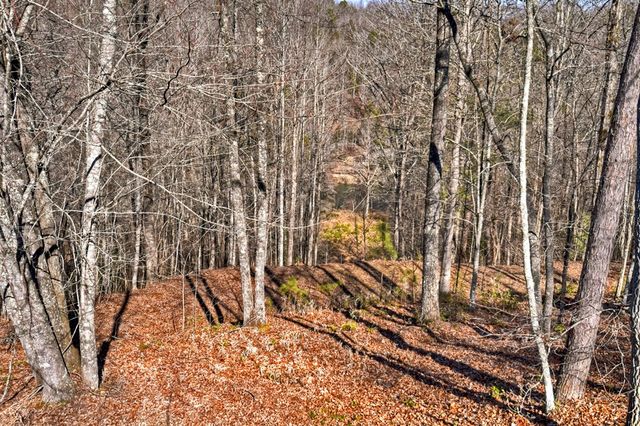 100 Toccoa Hills, Blue Ridge, GA 30513