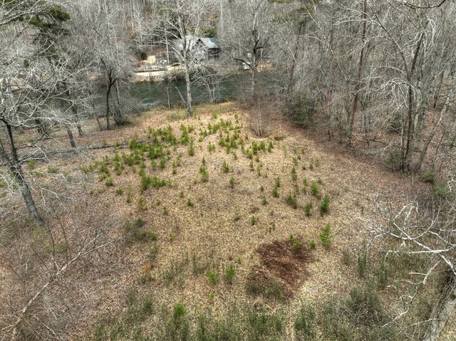 100 Toccoa Hills, Blue Ridge, GA 30513