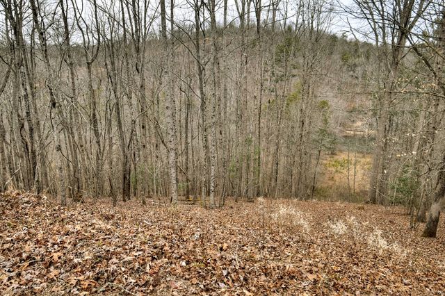 100 Toccoa Hills, Blue Ridge, GA 30513