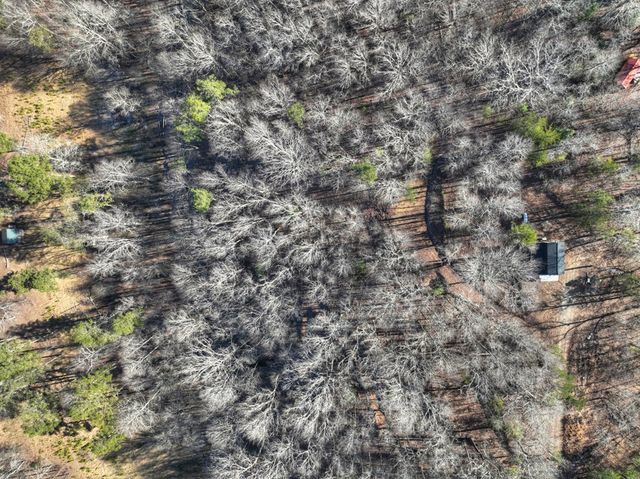 100 Toccoa Hills, Blue Ridge, GA 30513