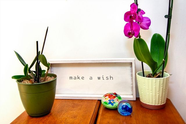 28 Picket Fence, Plymouth, MA 02360